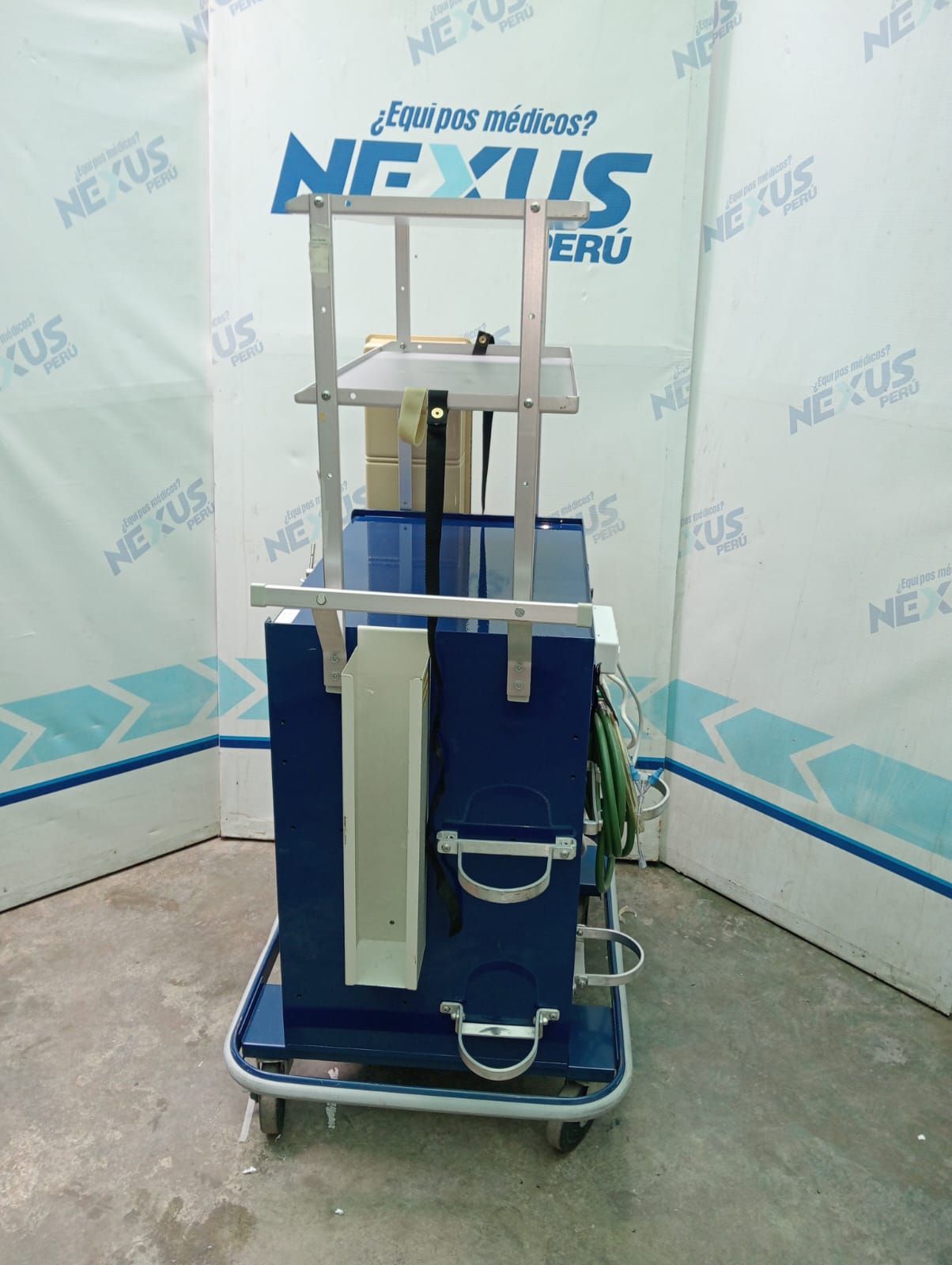 WhatsApp Image 2025-09-12 at 2.17.58 PM